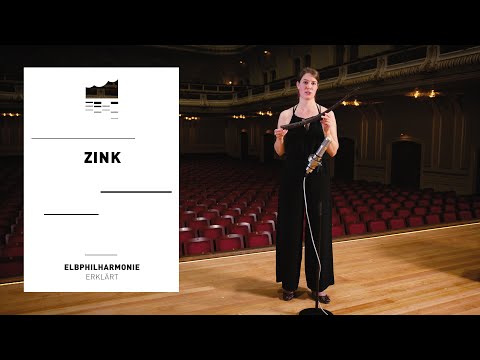 Der Zink - musiculum