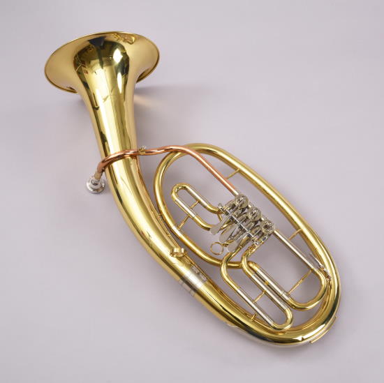 Tenorhorn